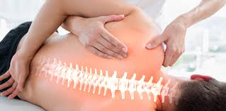Reabilitação Musculoesquelética
